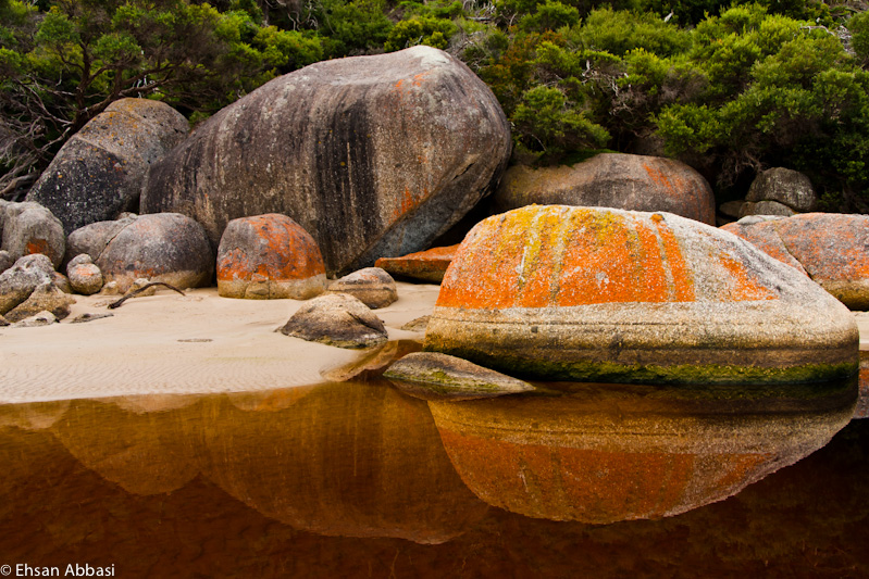 Wilsons Promontory National Park